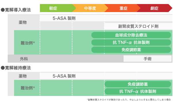 æ²»ç™‚ç›®æ¨™ æ²»ç™‚ æ½°ç˜æ€§å¤§è…¸ç‚Ž Ibd Info æ—¥æœ¬åŒ–è–¬æ ªå¼ä¼šç¤¾